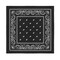 12-Pack 100% Cotton Paisley Bandanas For Men Women 22X22 Inch Bulk Style